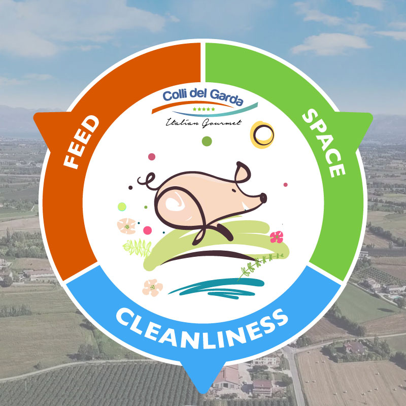 Benessere animale